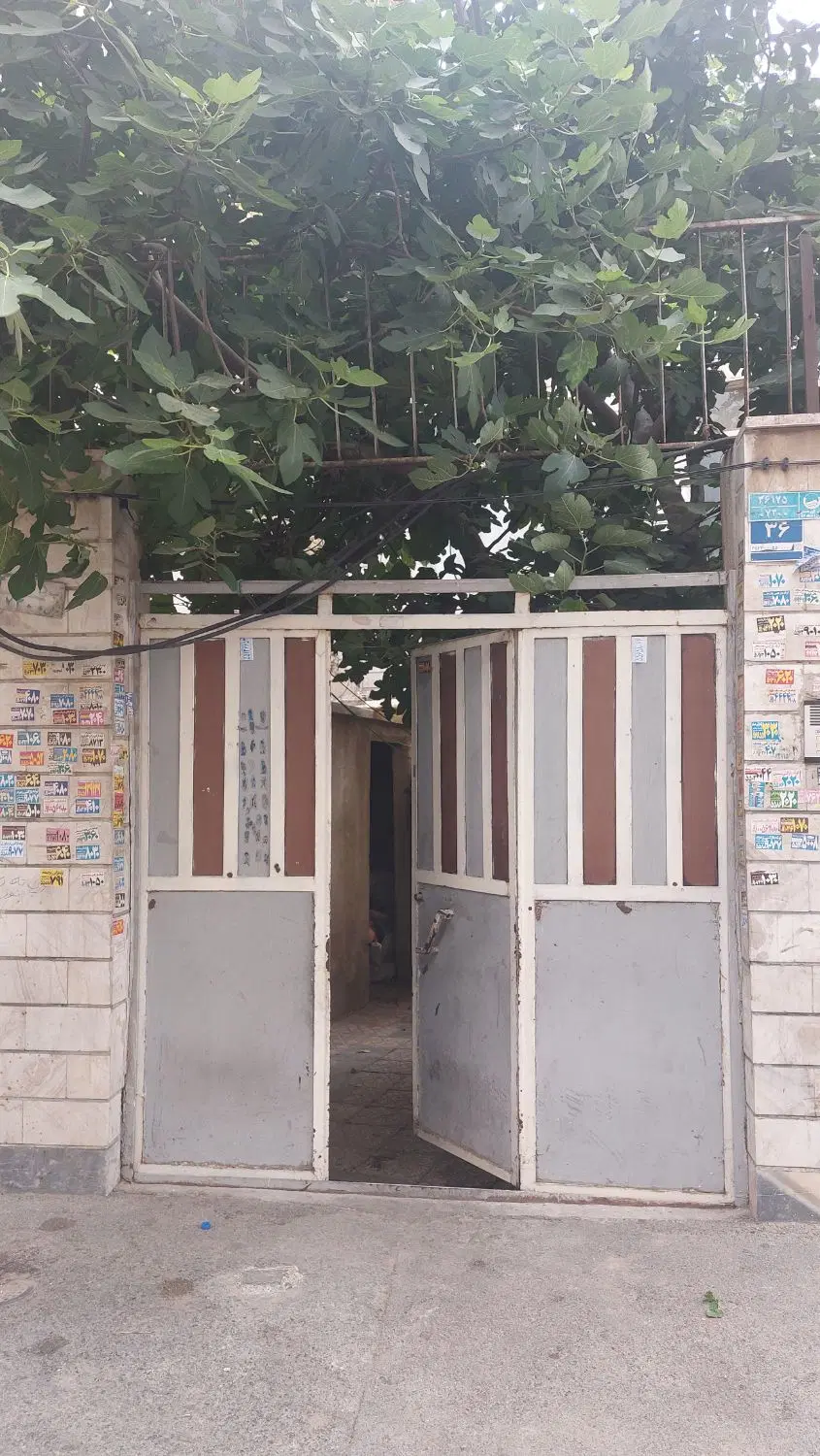 ملک کلنگی در زمزم
