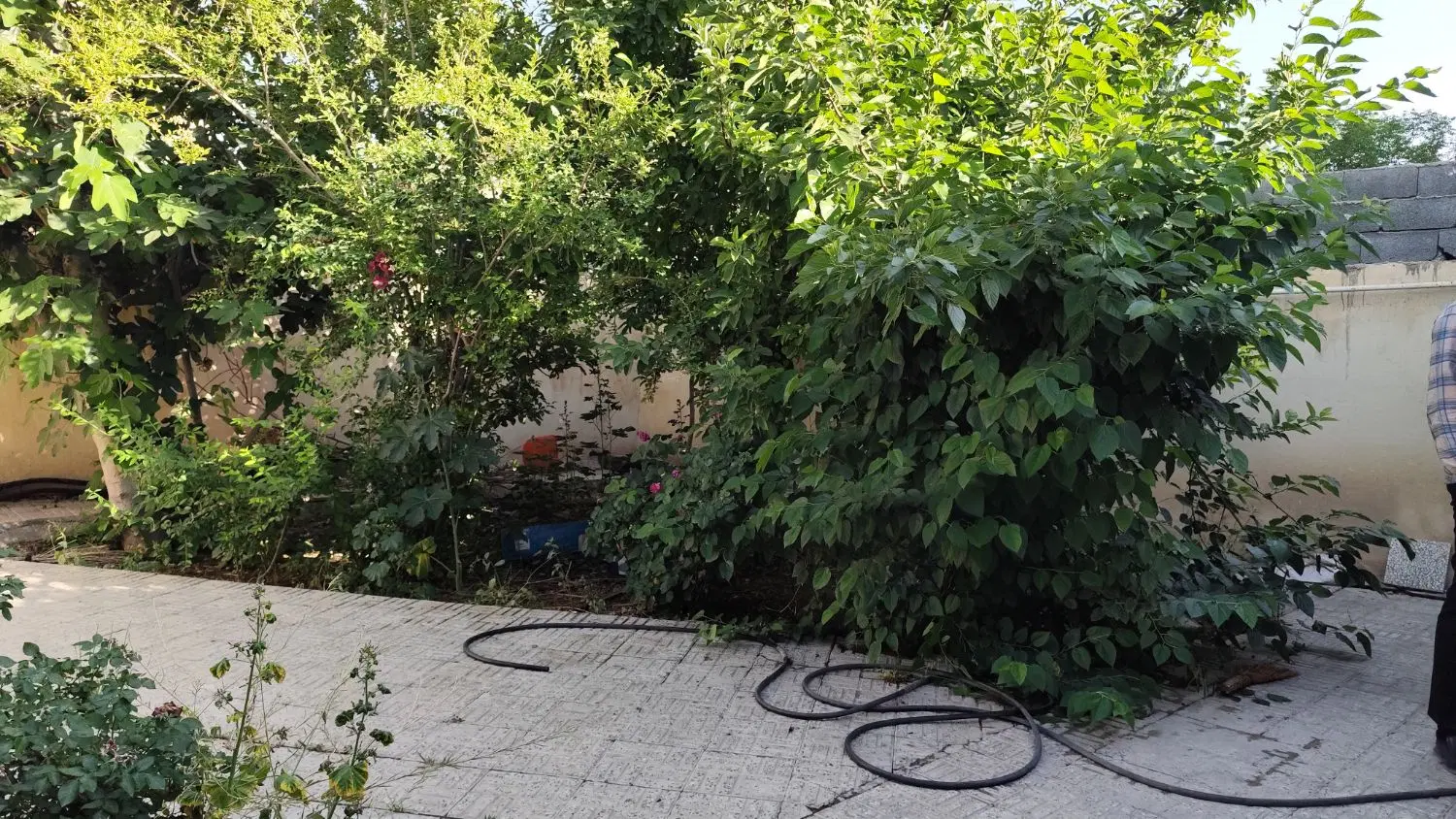 خانه ویلایی