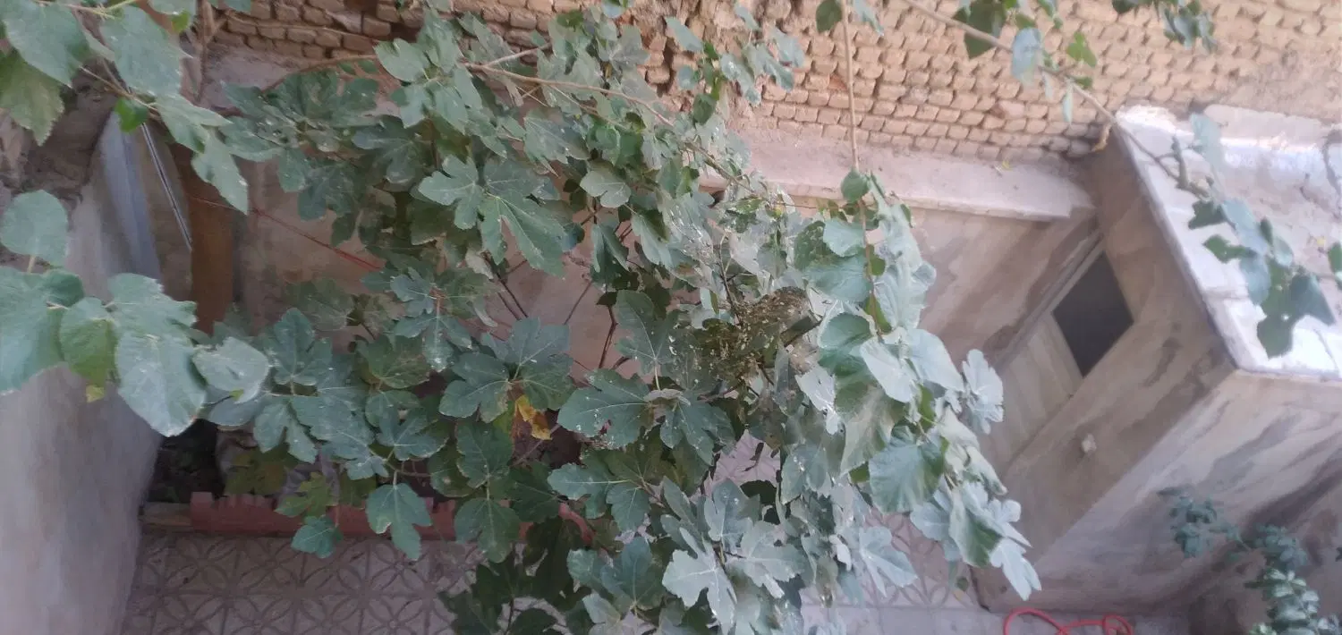 خانه ویلایی