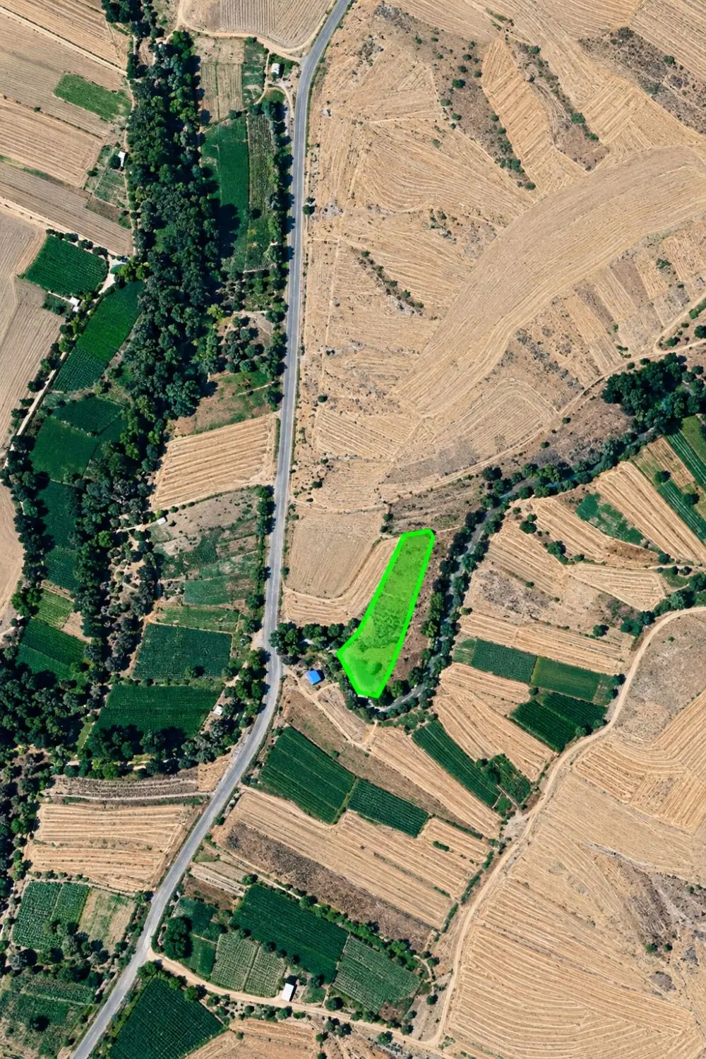 زمین آبی