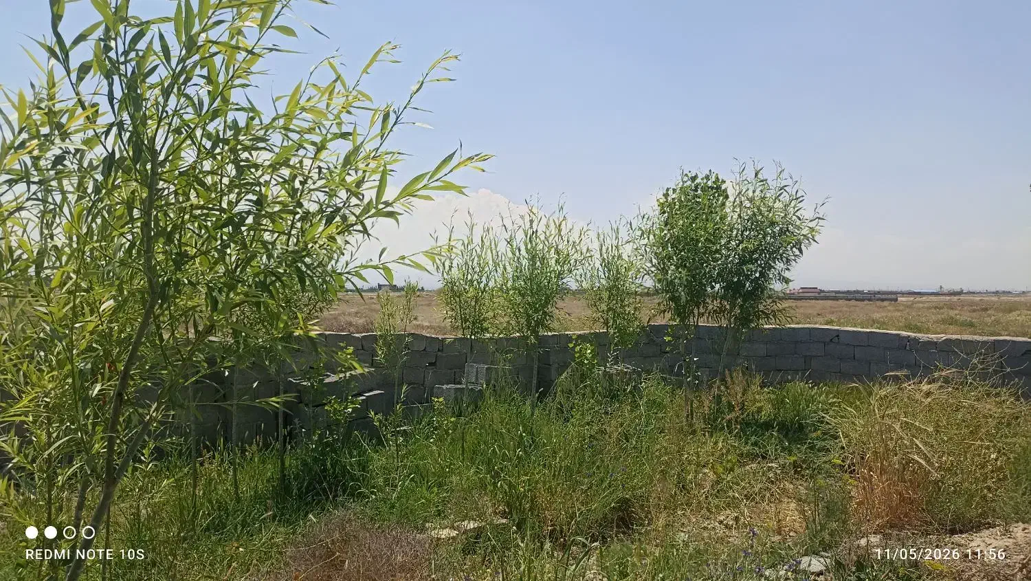 فروش باغ