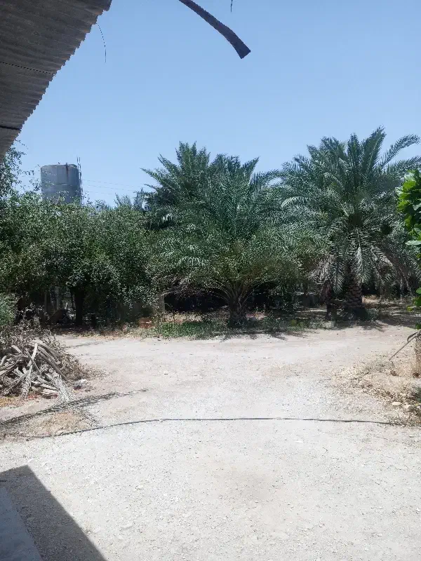 زمین سپاه قدیم بلواربسیج