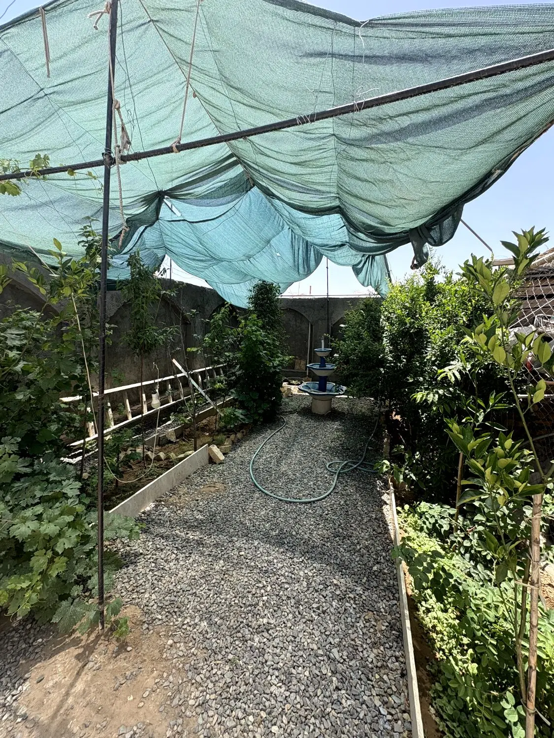 خانه باغ علاقه بند
