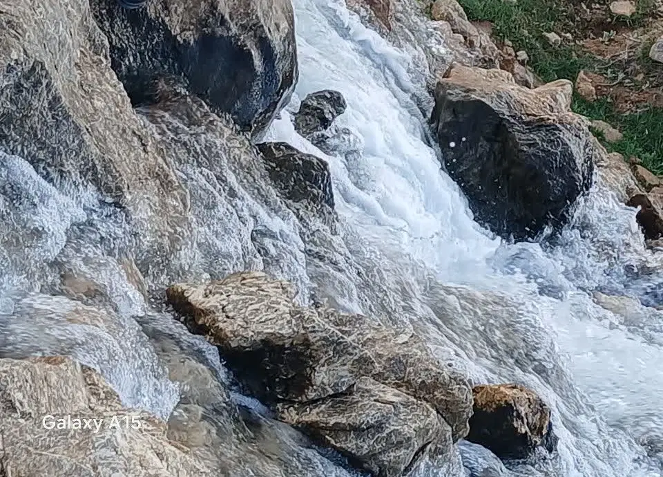 باغ کشاورزی مبارکه ، شهر مجلسی