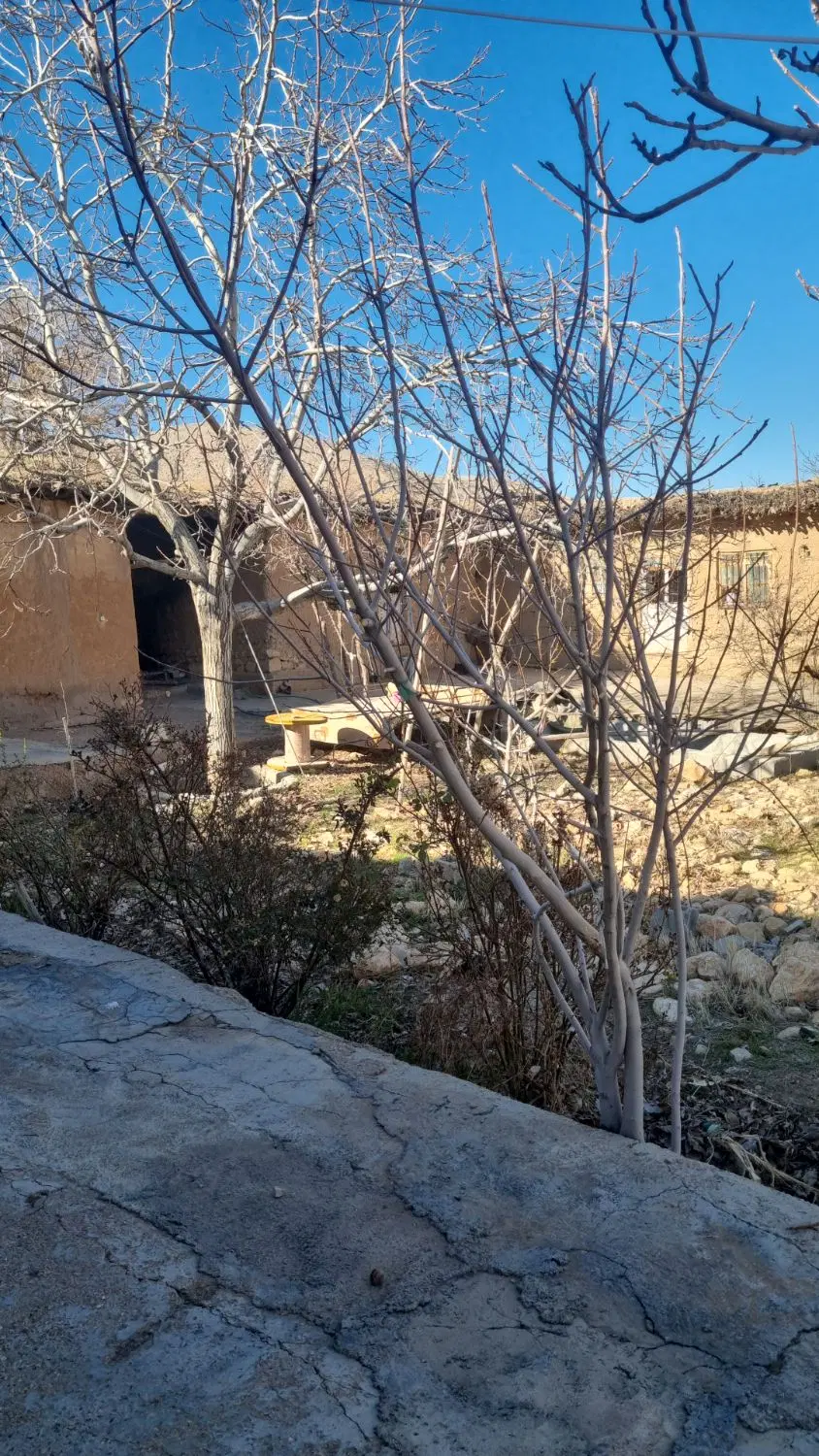 زمین باغی