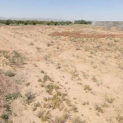 محوطه فروشی