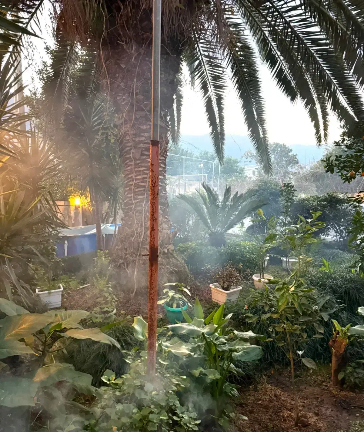 ویلا باغ ۶۵۰ متر انارور