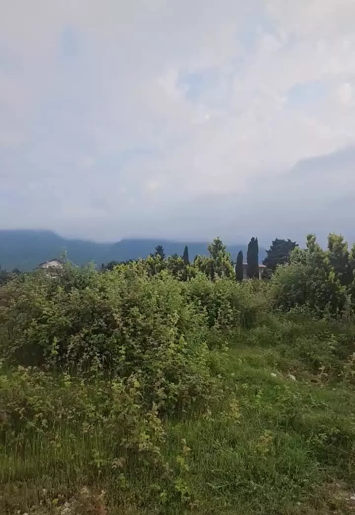 زمین مالکم