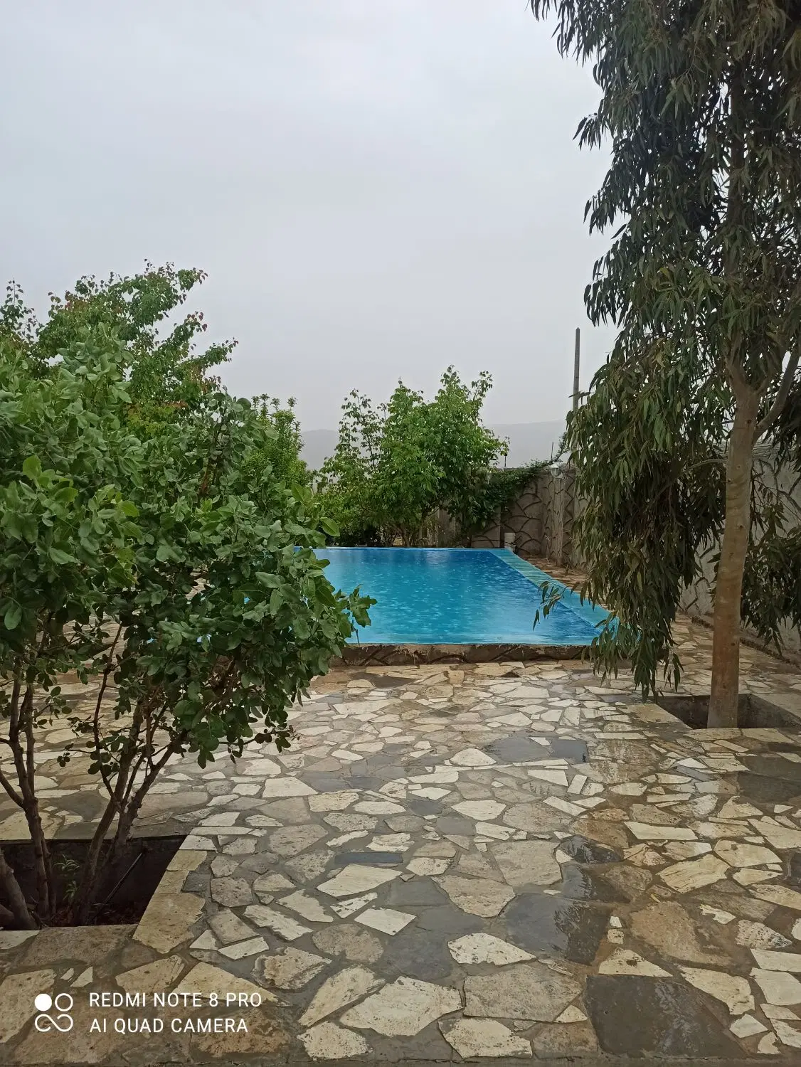 زمین فرهیختگان