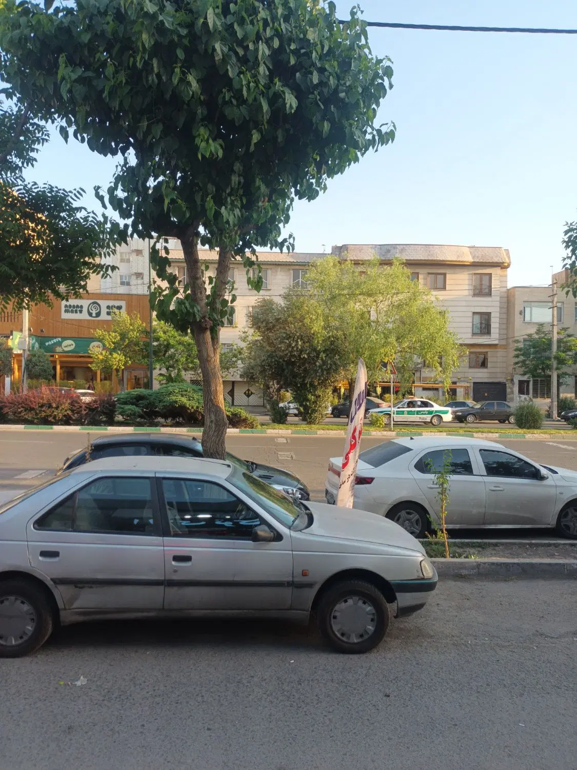 مغازه ۵۵متر بر خیابان درختی