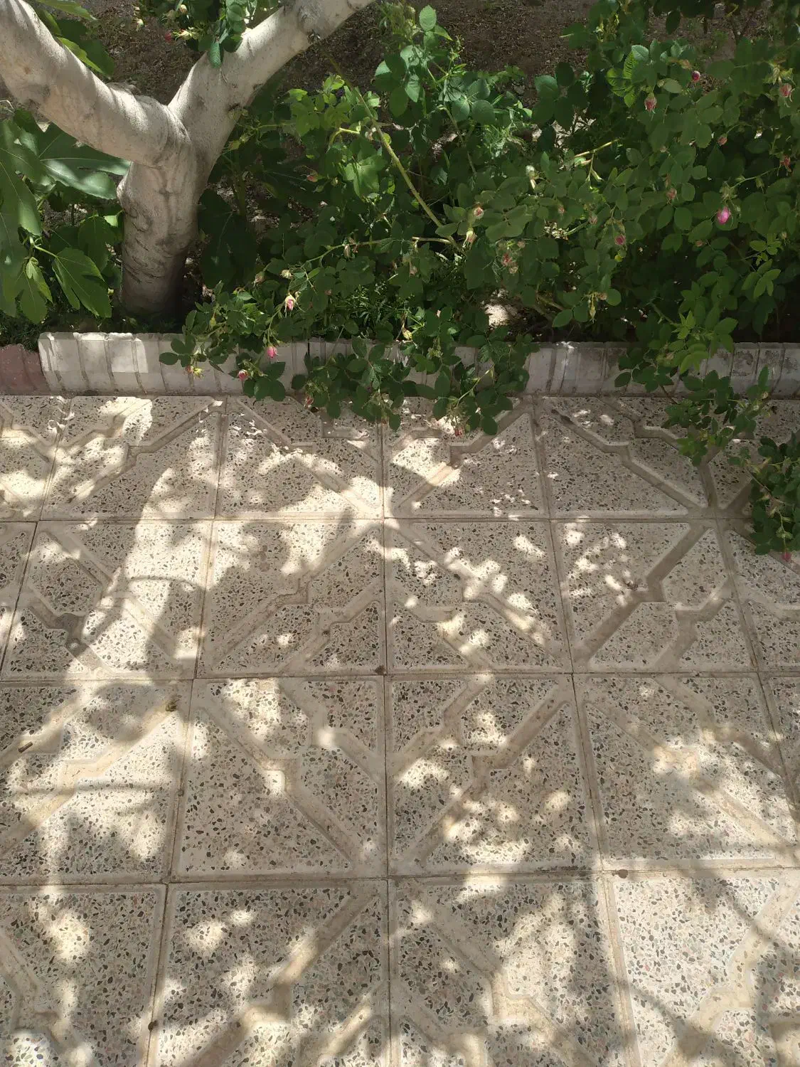خانه نیمکاره