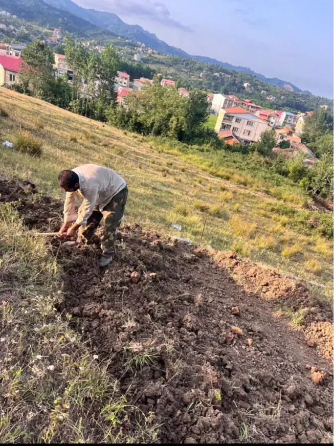 ۲۰۰ متر زمین دو بر