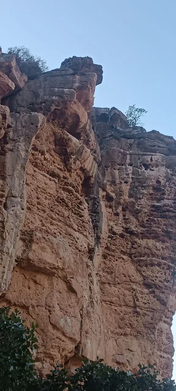 زمین