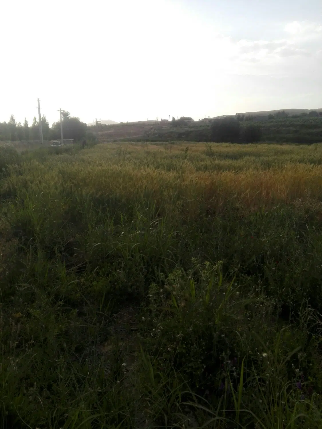 فروش زمین