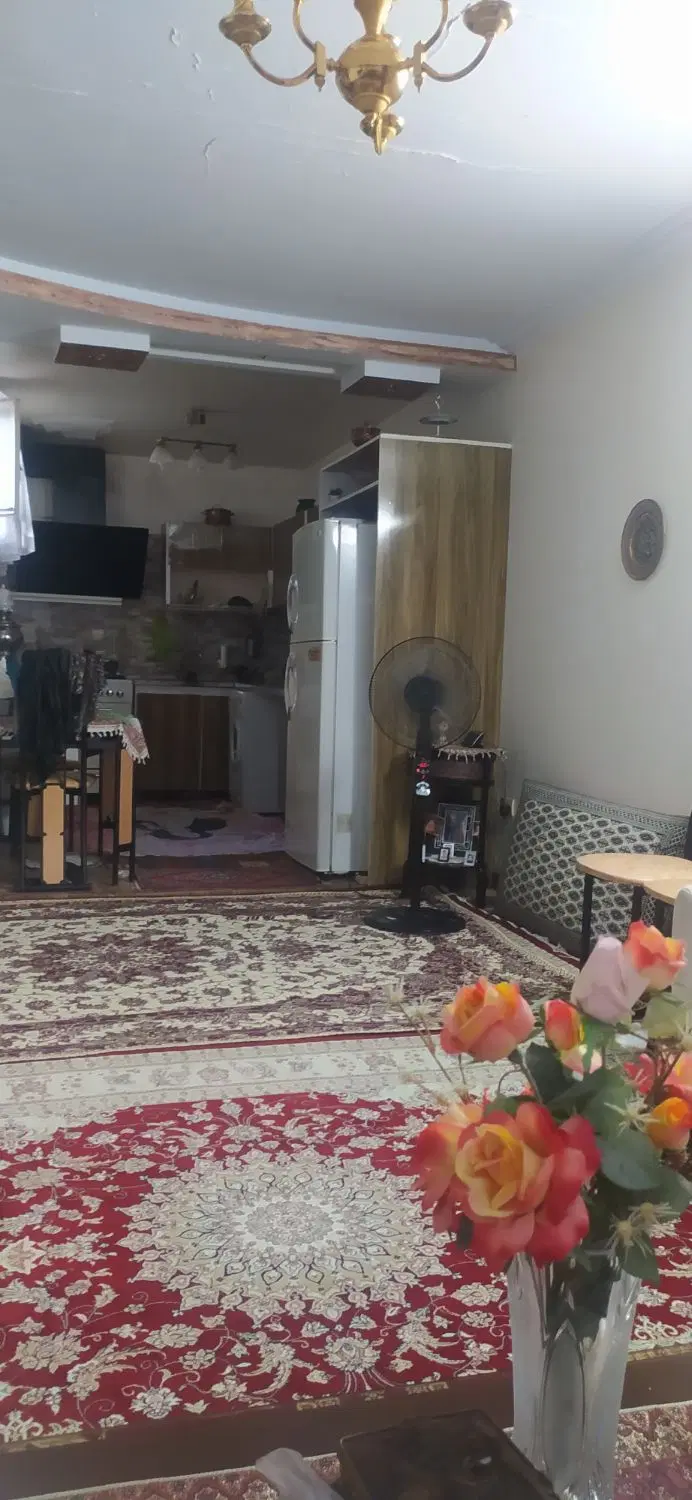 هم خونه خانم