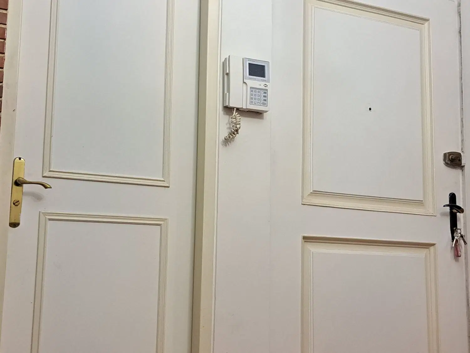 هم خانه