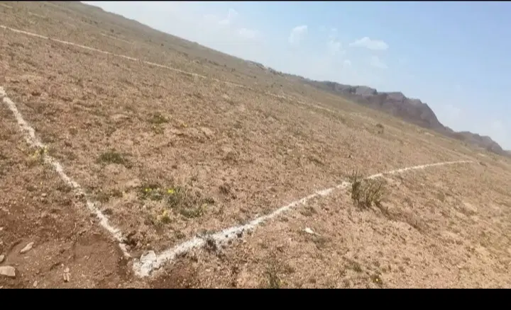 زمین شکرآب