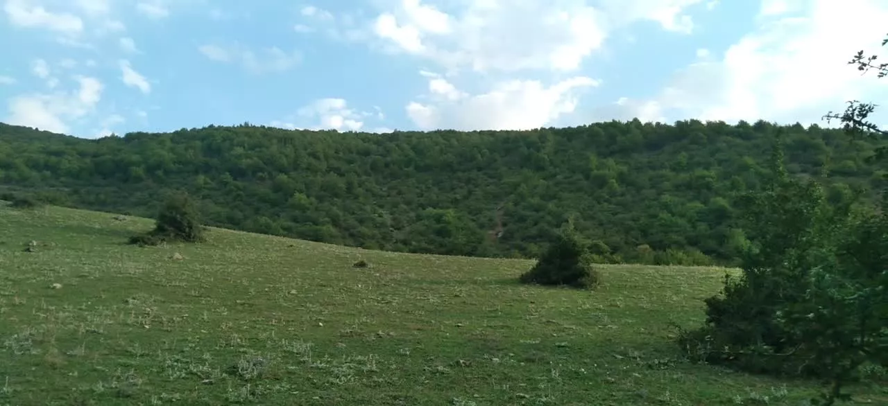 زمین لرگان کجور