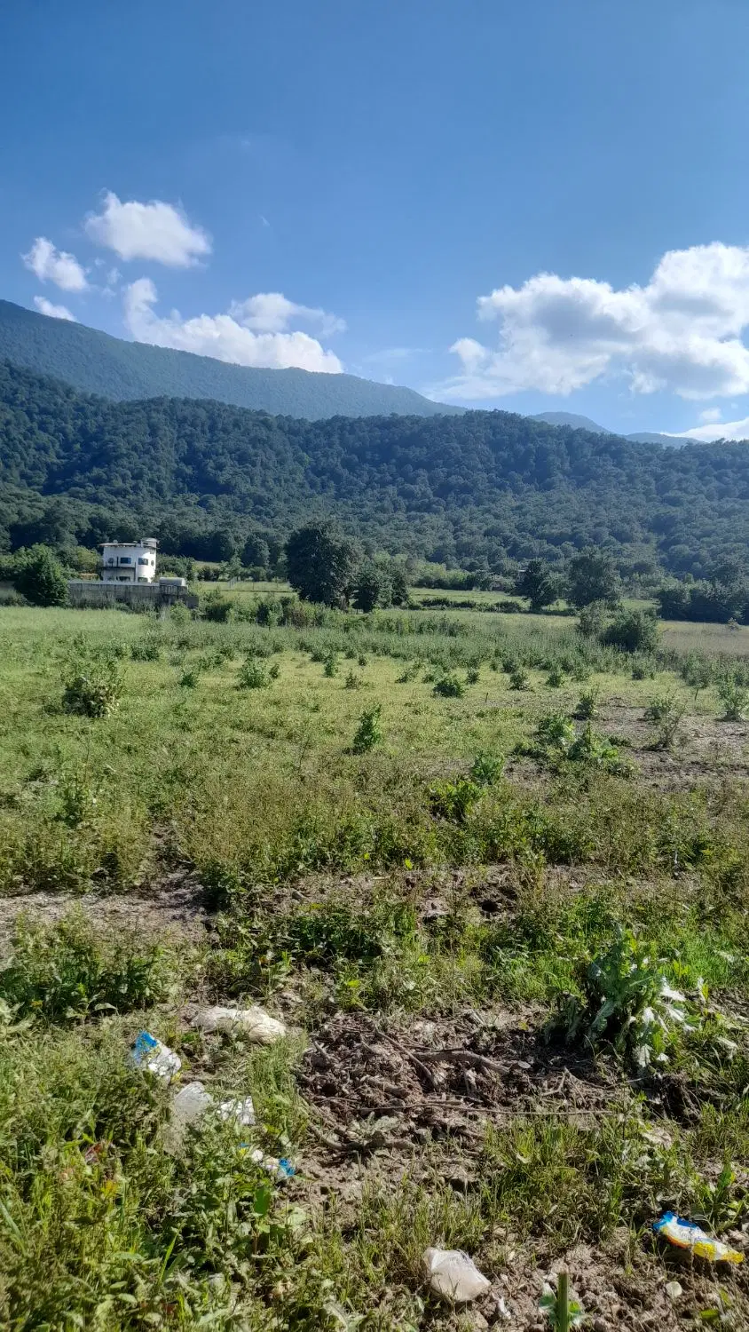 فروش زمین باغی