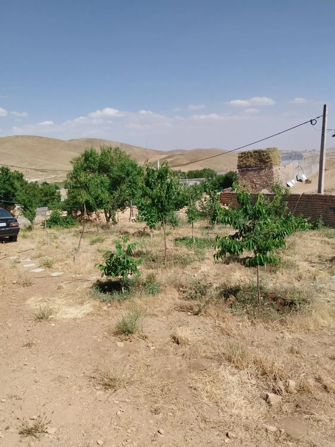خانه باغ
