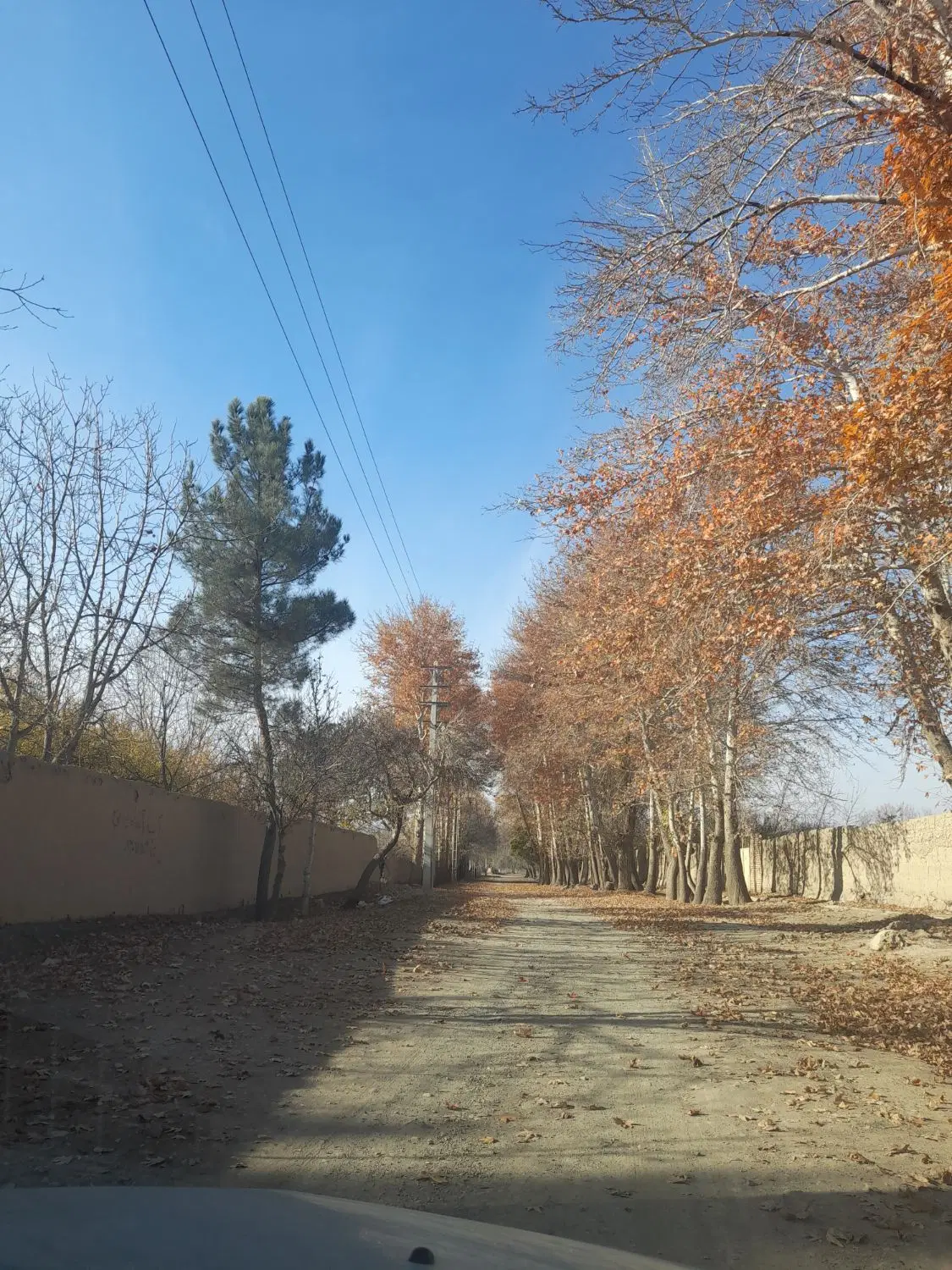 زمین داخل چهار دیواری جهادی
