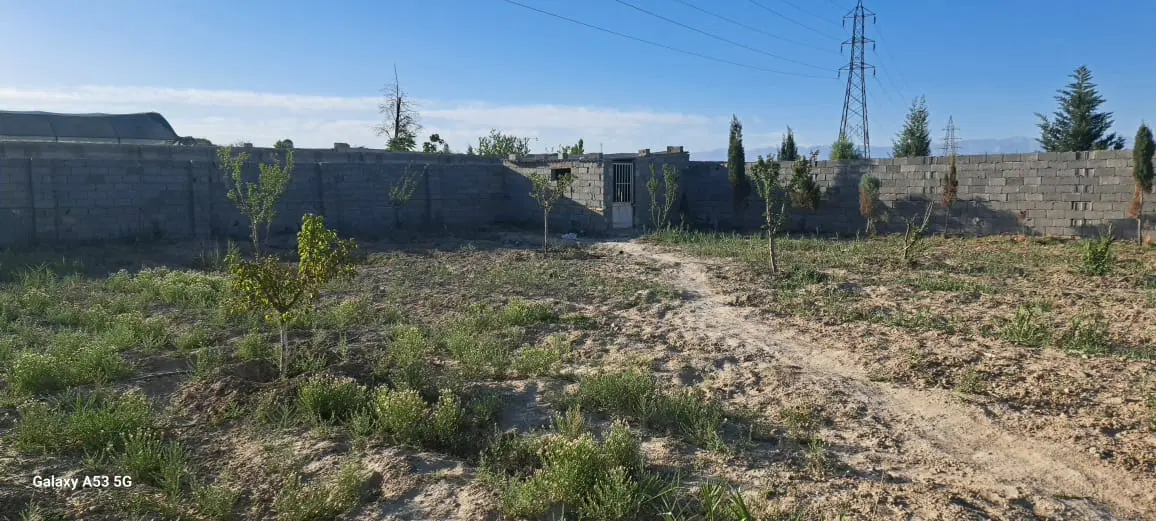 چهار دیواری ، باغچه