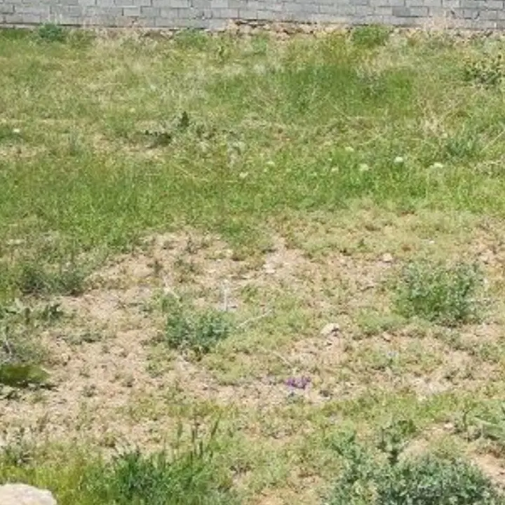 زمین مسکونی روستای