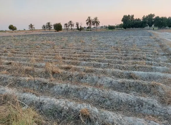 فروش زمین کشاورزی