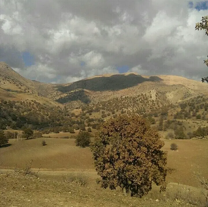 زمین مسکونی