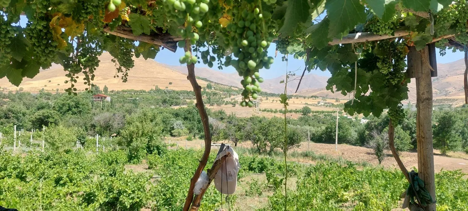 فروش زمین