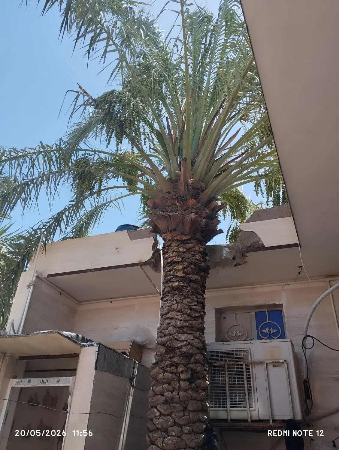 فروش خانه