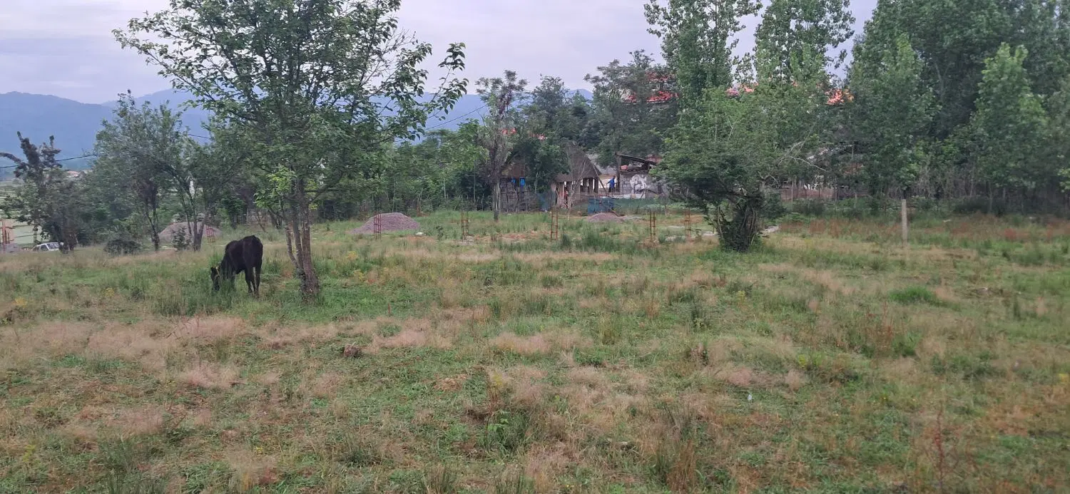 زمین 1000متری بهترین لوکیشن روستای چماچا