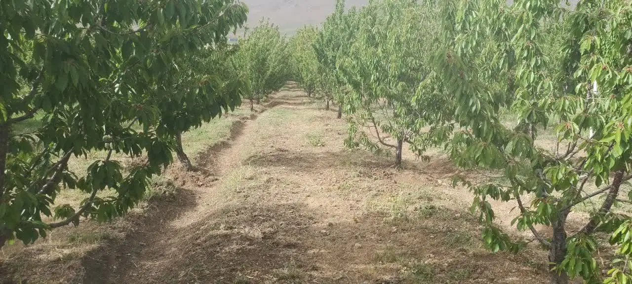 فروش