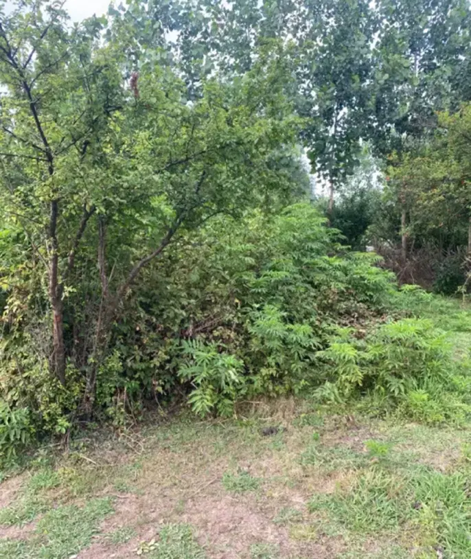 زمین در جای بکر (قابل معاوضه با خودرو )