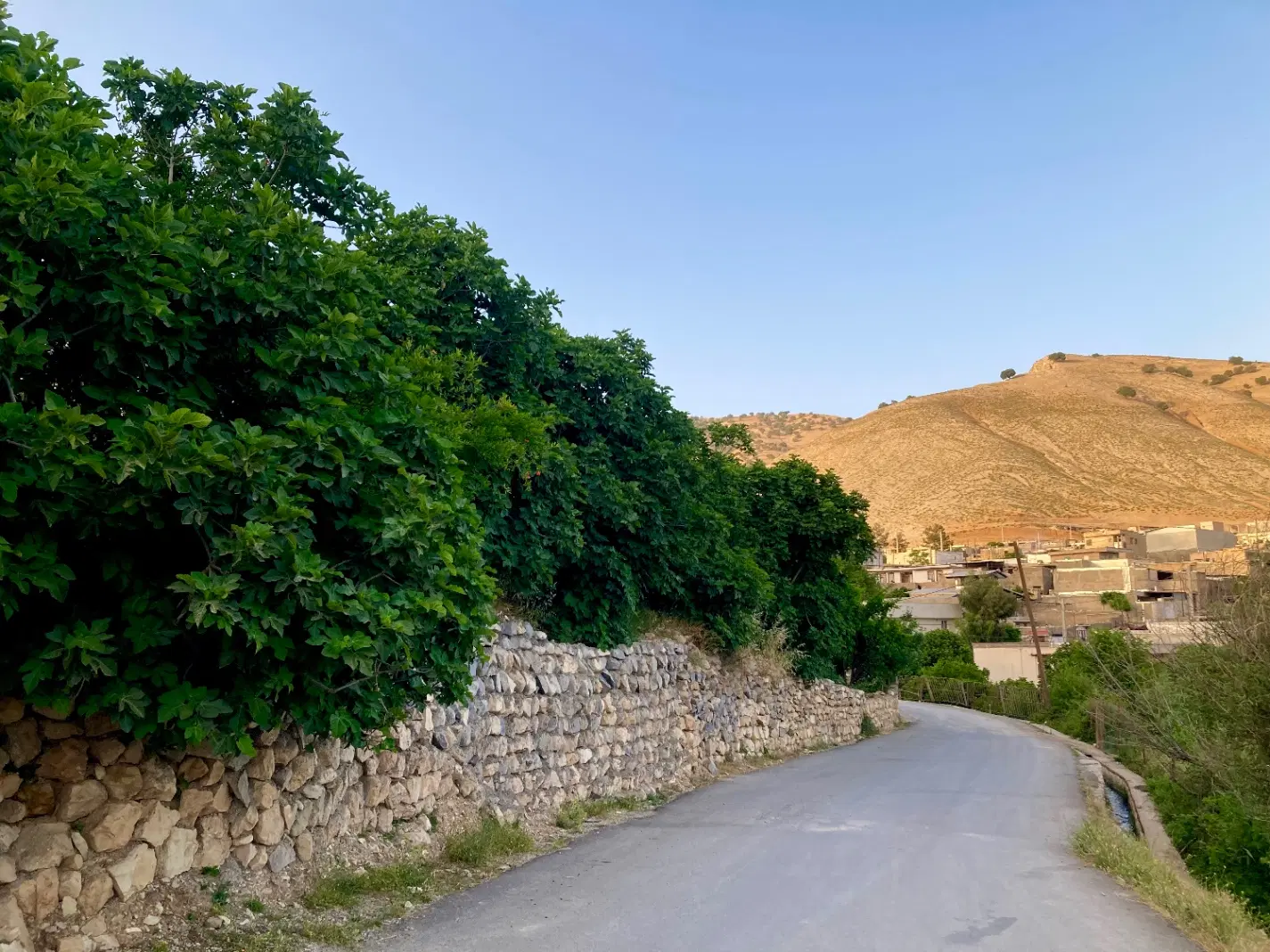 فروش مغازه نیمه کاره