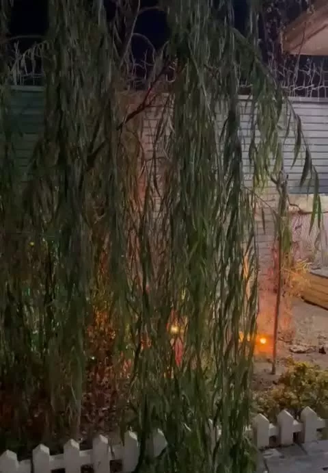 باغچه ۲۱۵متری شیک نقلی