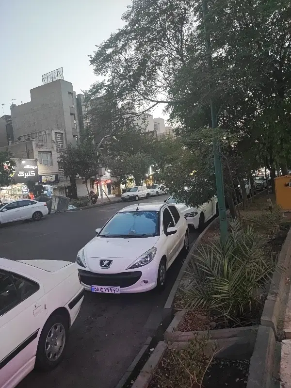 کلنگی جنوبی بغل دار قویترین خ نارمک
