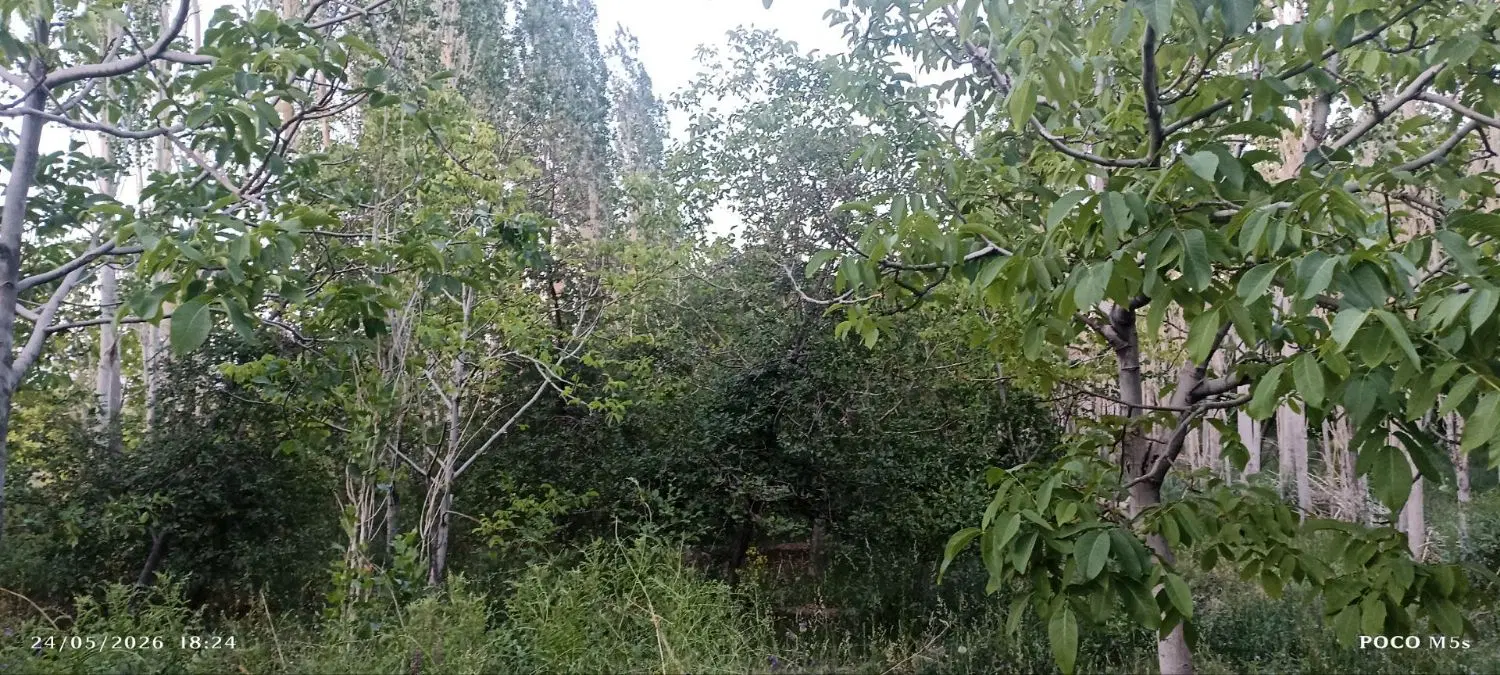باغ خیرآباد در نزدیکی آبشار راین_قنات حسین آباد