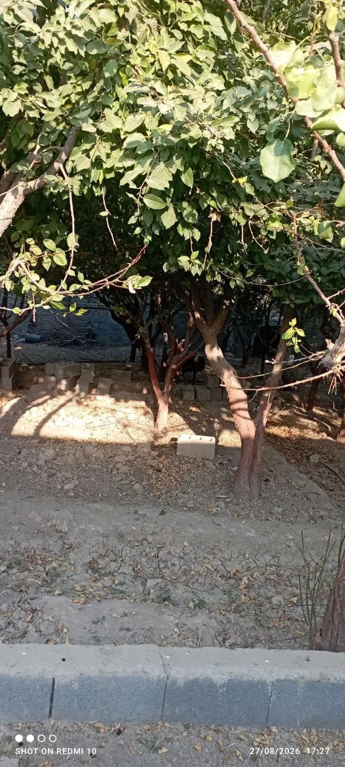 باغچه چهار دیواری دولت آباد