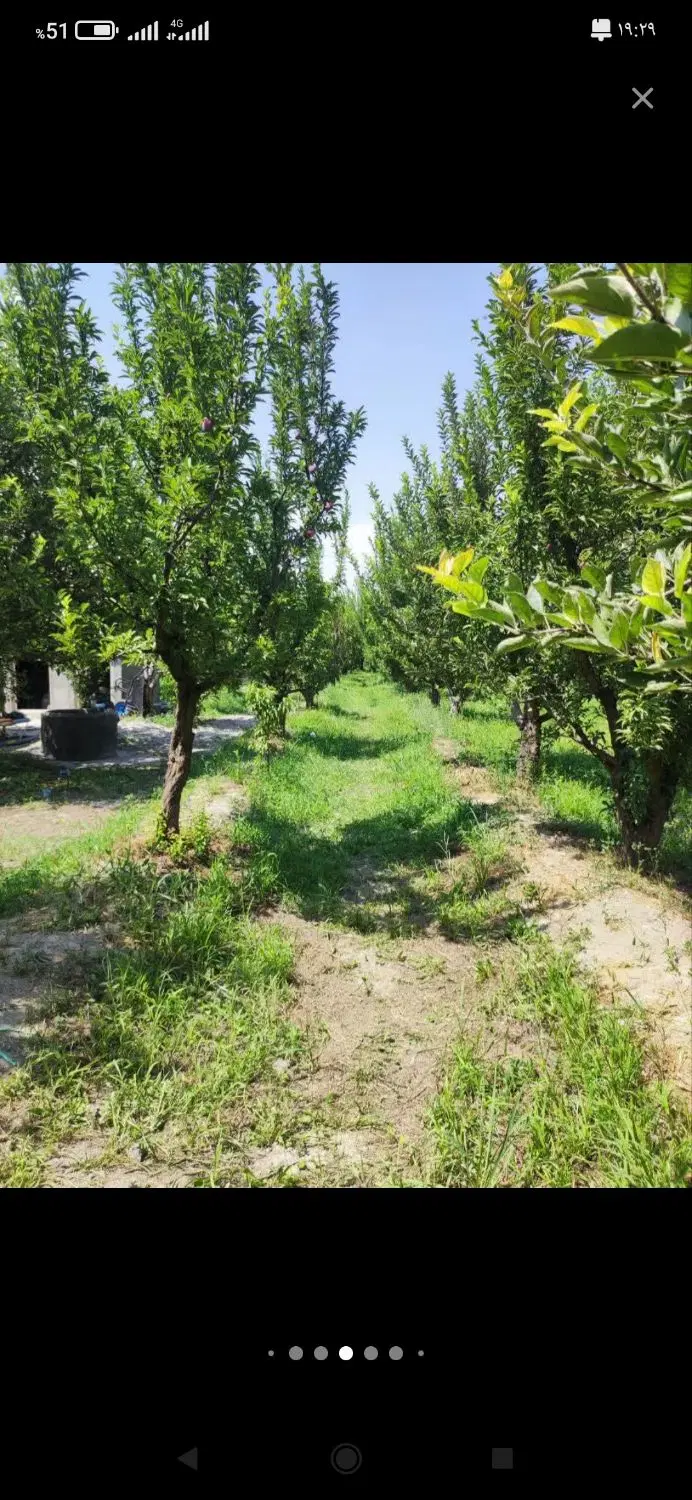 باغچه ویلایی در باراندوز
