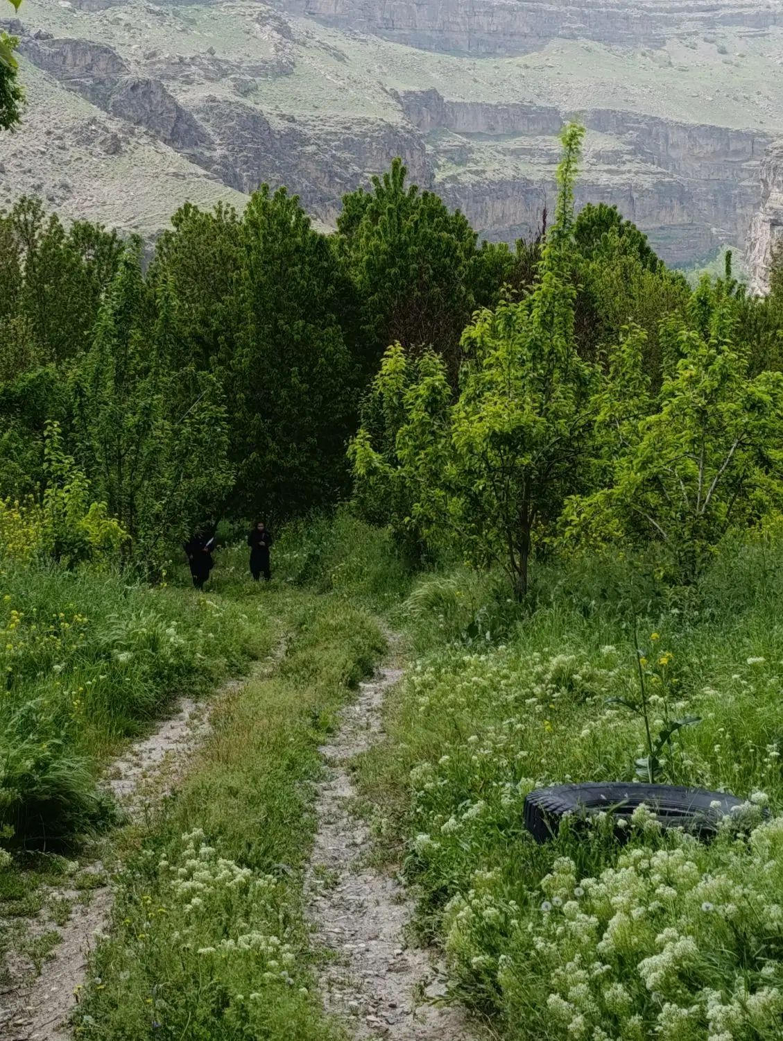 زمین 25متری