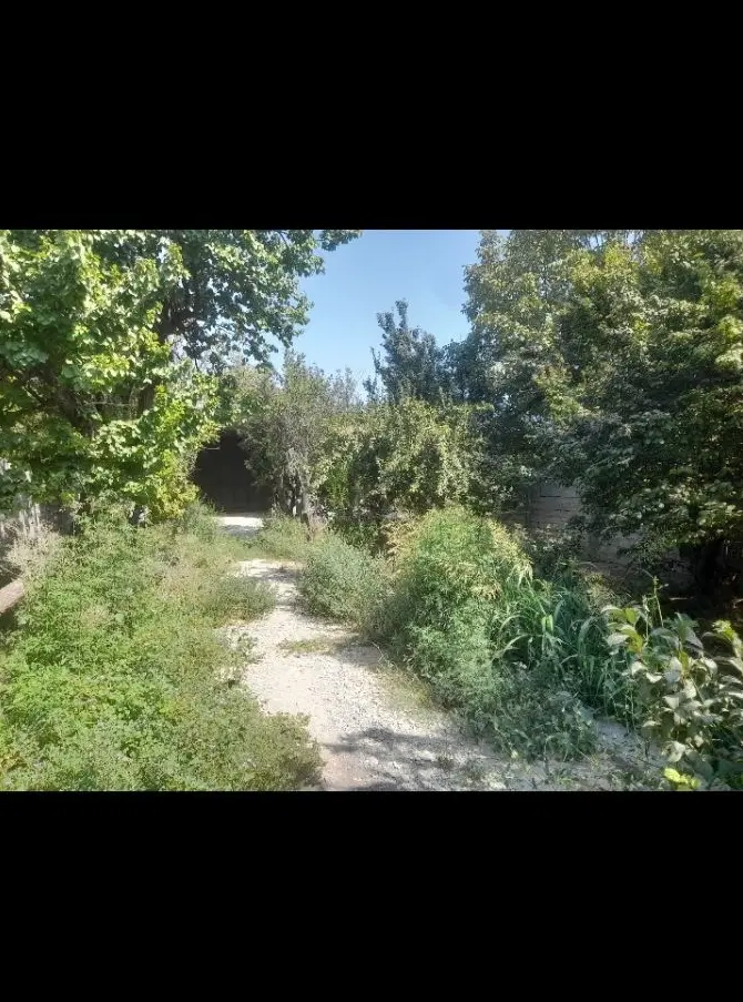 باغ سند دار ۳۰۰ متری  شهریار