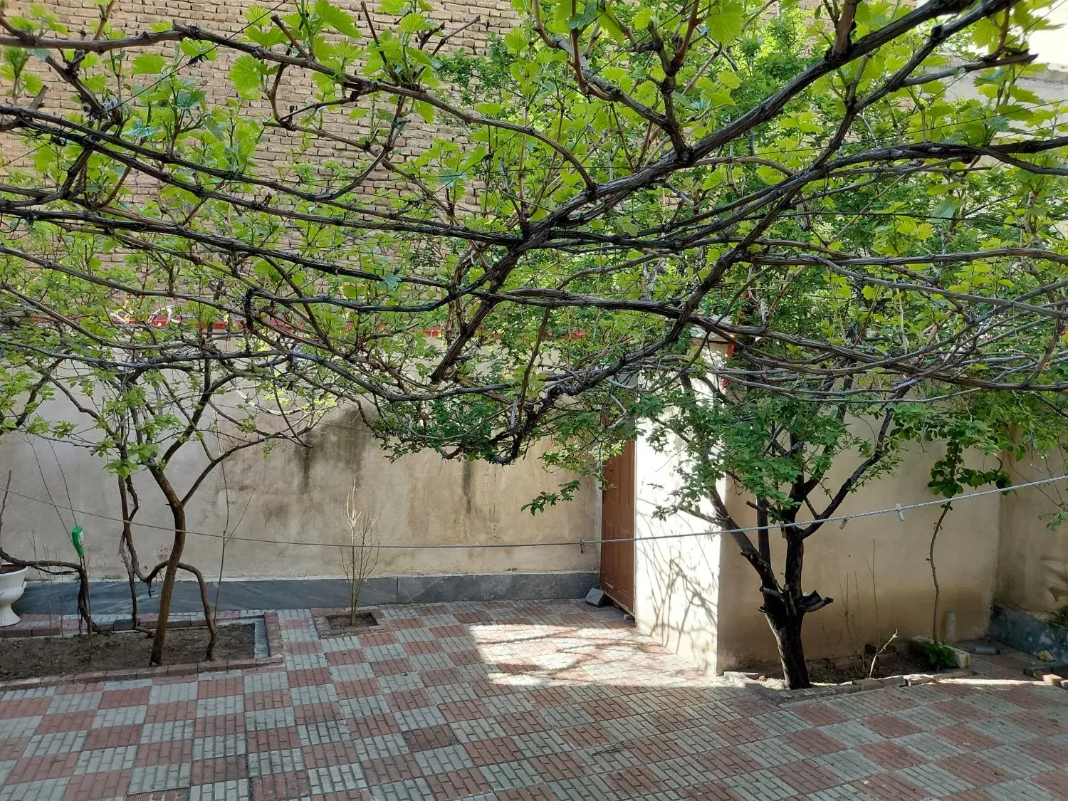 حیاط لوکس قره اغاج (کوی هادی بغل مترو)