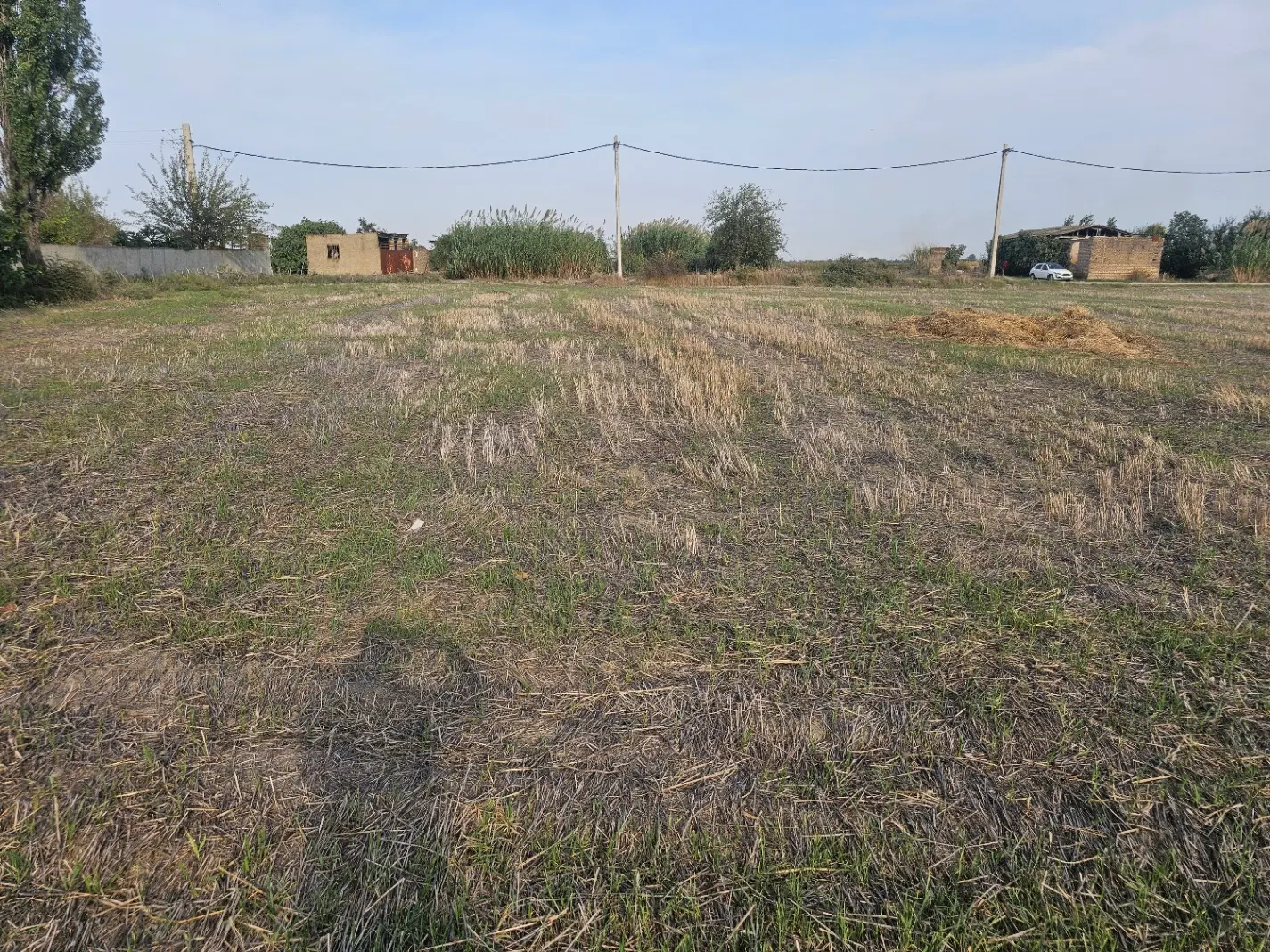 زمین کشاورزی