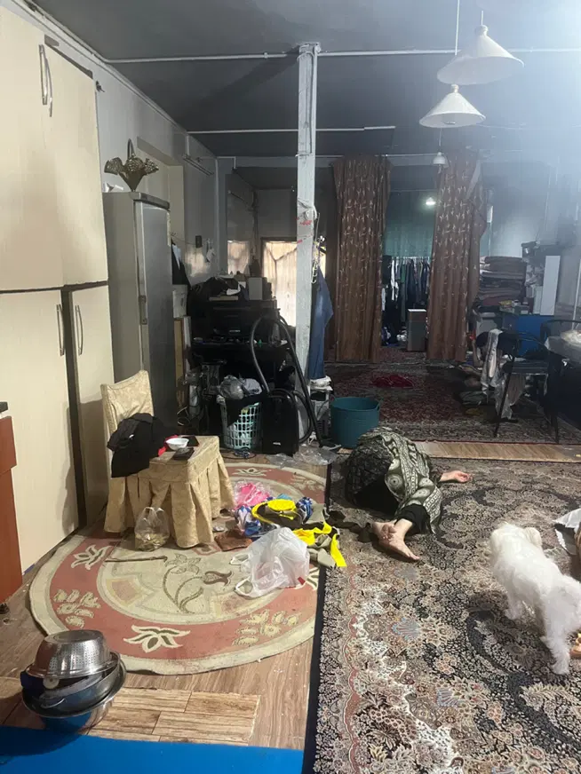 ملک ویلایی همکف