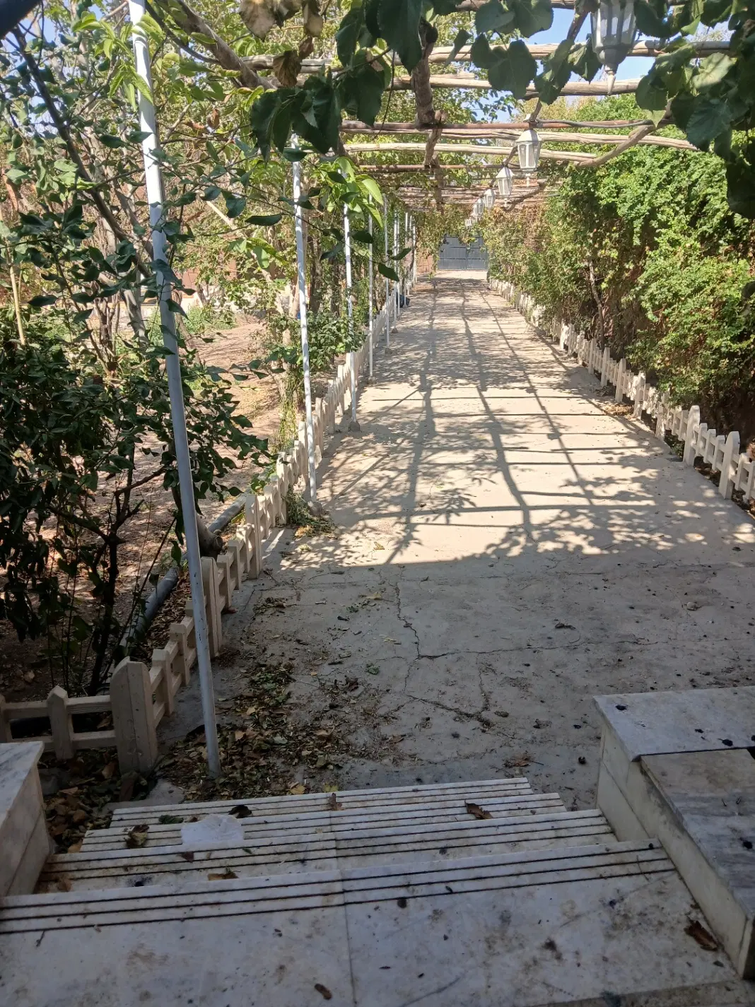باغ ویلا میم