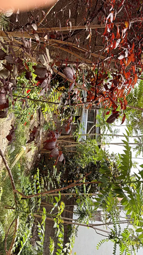 خانه کلنگی با زمین (استثنایی)