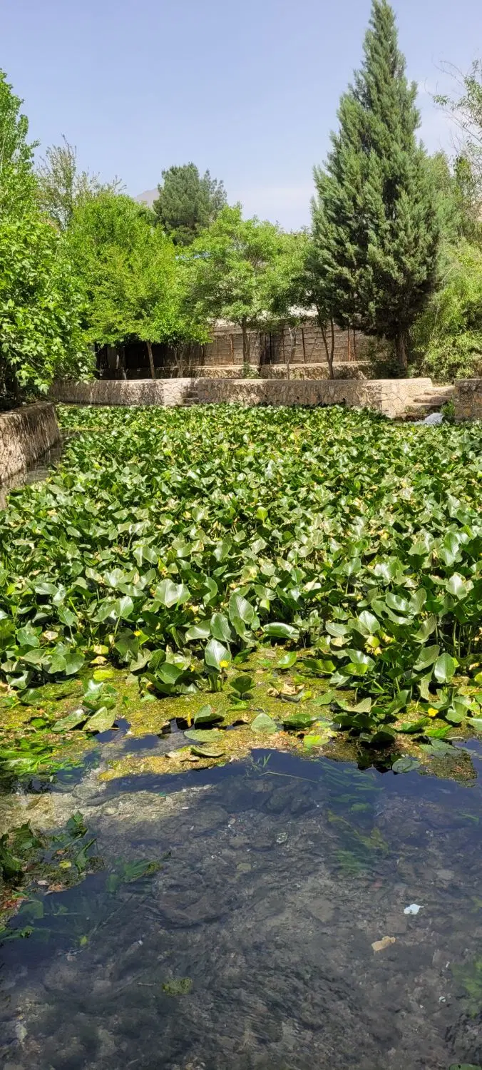 زمین قلعه سنگی