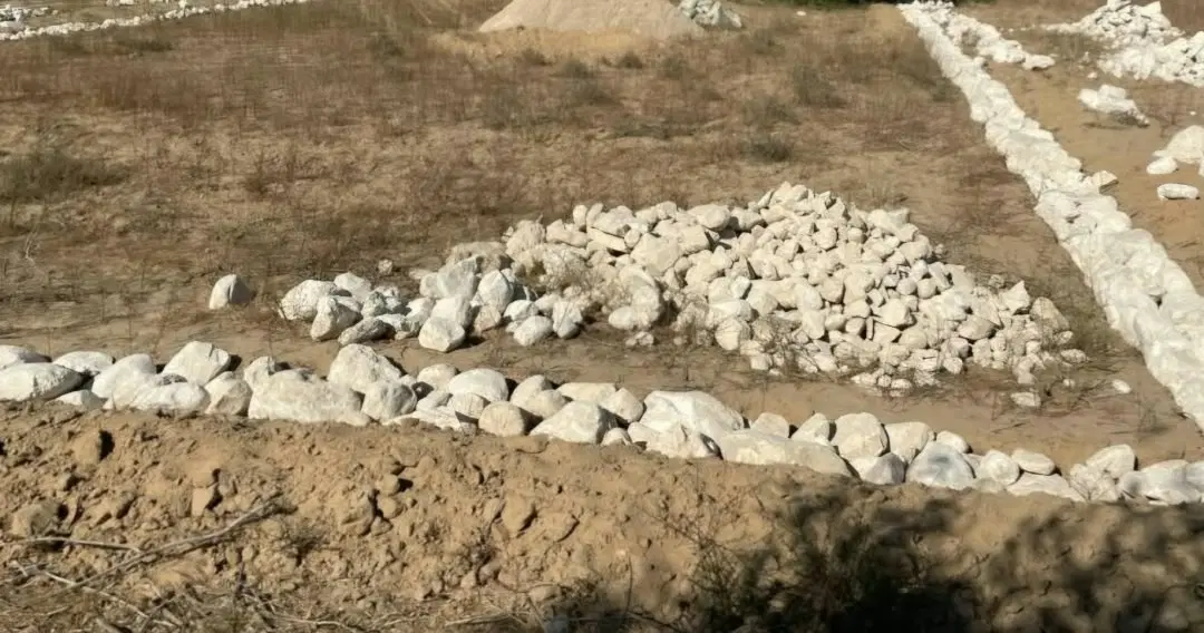 زمین جزیره شیف