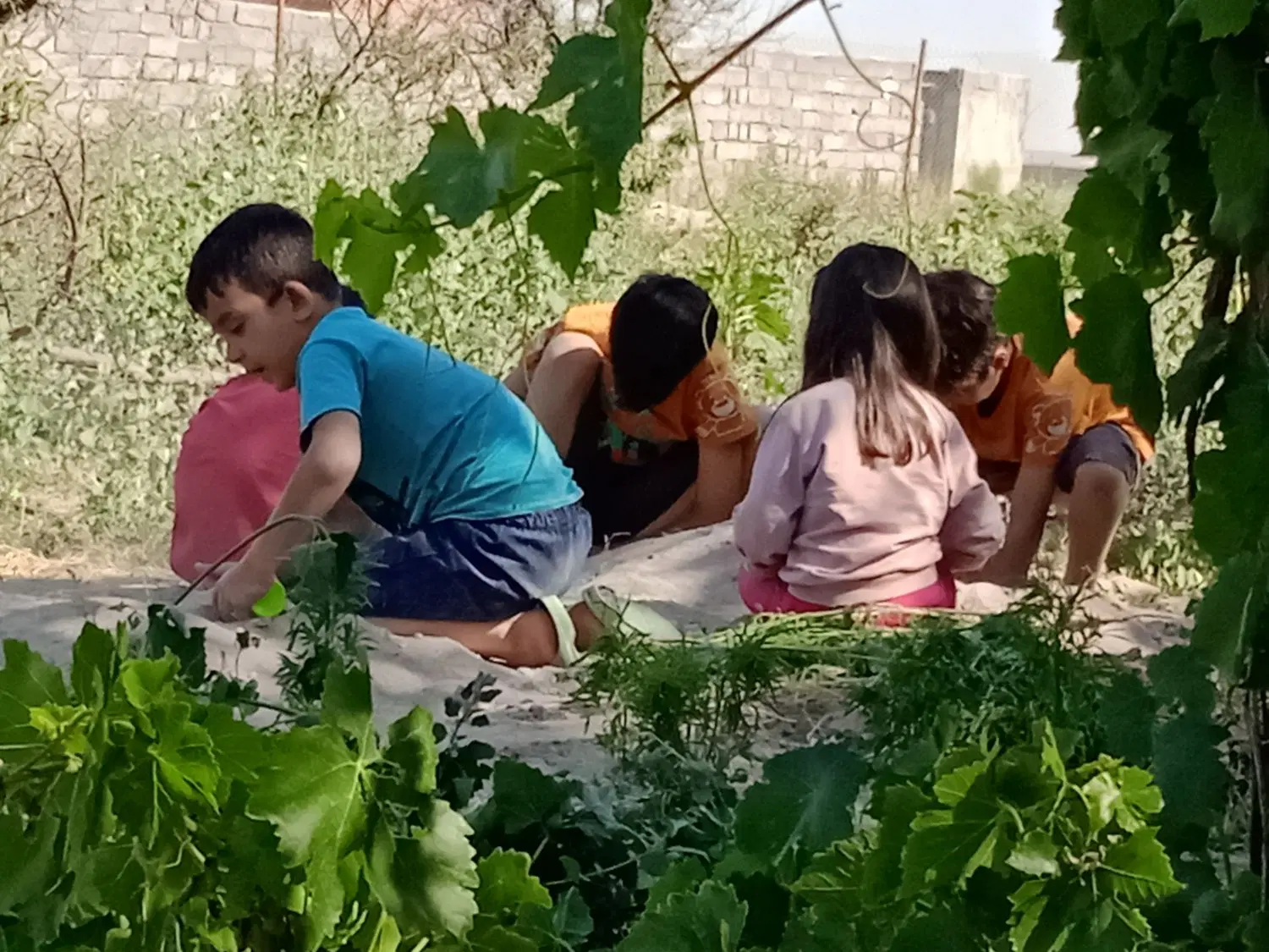 باغ و ویلا  دارای آب،برق،گاز